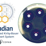 Radian