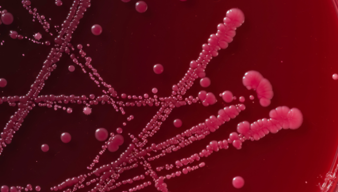 Explore the latest research with Don Whitley Scientific