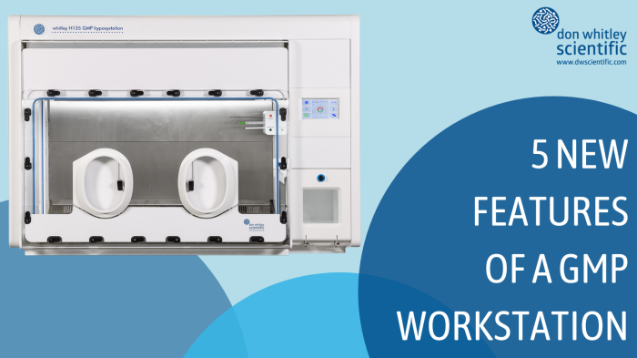 5 New Features of the GMP Workstation