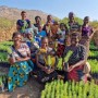 Planting Trees Across the World
