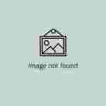 Microbiologists at Don Whitley Scientific